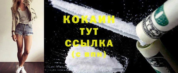 spice Богородск