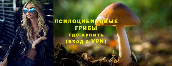 метамфетамин Богданович