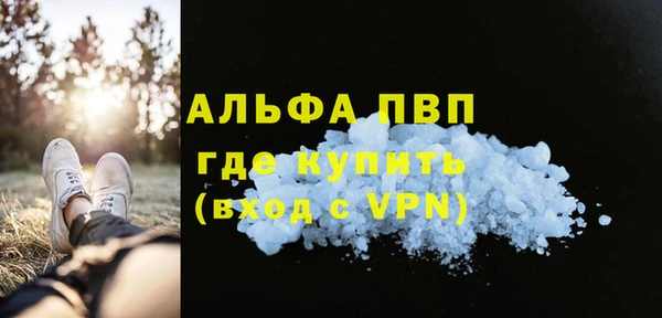 гидра Богородицк