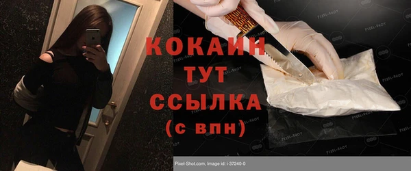 гидра Богородицк