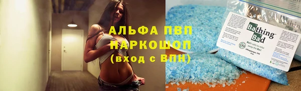spice Богородск