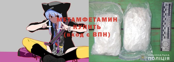 гидра Богородицк