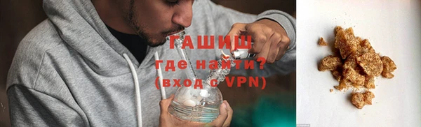 гидра Богородицк