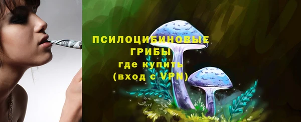 spice Богородск