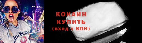 гидра Богородицк