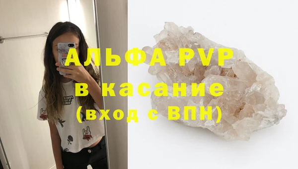 spice Богородск