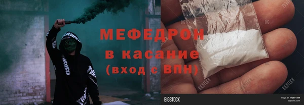 гидра Богородицк