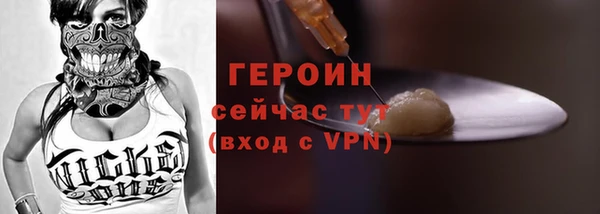 гидра Богородицк