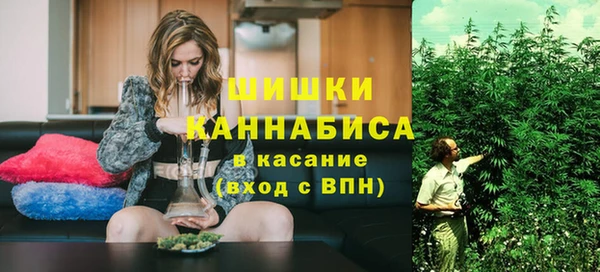 гидра Богородицк