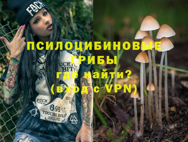 метамфетамин Богданович