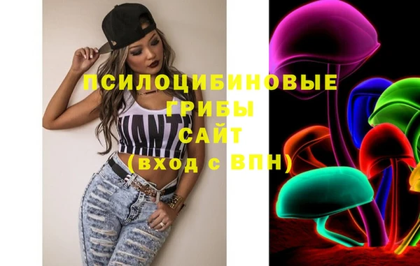метамфетамин Богданович