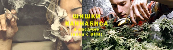 spice Богородск