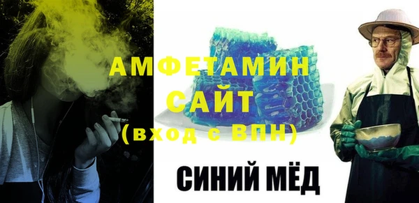 гидра Богородицк